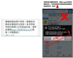 《Q2移動(dòng)安全報(bào)告深度解讀 支付安全問(wèn)題高居榜首，網(wǎng)絡(luò)安全軟件開(kāi)發(fā)迎來(lái)新挑戰(zhàn)與機(jī)遇》